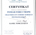 Powiększ obraz: certificate 3