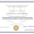 Powiększ obraz: certificate 13