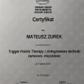 Powiększ obraz: certificate 13