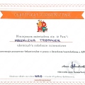 Powiększ obraz: certificate 4