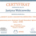 Powiększ obraz: certificate 12