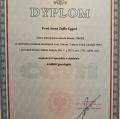 Powiększ obraz: certificate 14