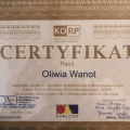 Powiększ obraz: certificate 1