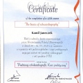 Powiększ obraz: certificate 2