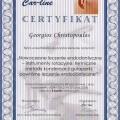 Powiększ obraz: certificate 1
