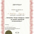 Powiększ obraz: certificate 5