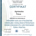 Powiększ obraz: certificate 3