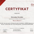 Powiększ obraz: certificate 6