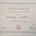 Powiększ obraz: certificate 4