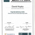 Powiększ obraz: certificate 4