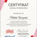 Powiększ obraz: certificate 1