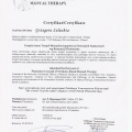 Powiększ obraz: certificate 8