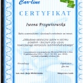 Powiększ obraz: certificate 19