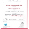Powiększ obraz: certificate 9