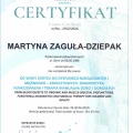 Powiększ obraz: certificate 24