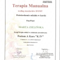 Powiększ obraz: certificate 9