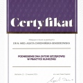 Powiększ obraz: certificate 3