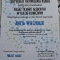 Powiększ obraz: certificate 5