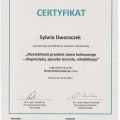 Powiększ obraz: certificate 10