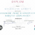 Powiększ obraz: certificate 17