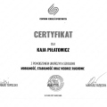 Powiększ obraz: certificate 1