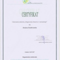 Powiększ obraz: certificate 6