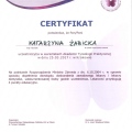 Powiększ obraz: certificate 2