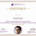 Powiększ obraz: certificate 1