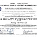 Powiększ obraz: certificate 2