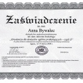 Powiększ obraz: certificate 13