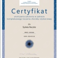 Powiększ obraz: certificate 1