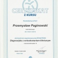 Powiększ obraz: certificate 11