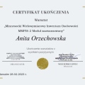 Powiększ obraz: certificate 7
