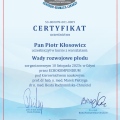 Powiększ obraz: certificate 2