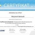 Powiększ obraz: certificate 9