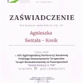 Powiększ obraz: certificate 19