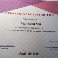 Powiększ obraz: certificate 6