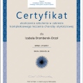 Powiększ obraz: certificate 1