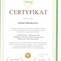 Powiększ obraz: certificate 9