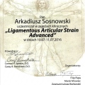 Powiększ obraz: certificate 42