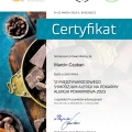 Powiększ obraz: certificate 10
