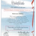 Powiększ obraz: certificate 10