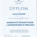 Powiększ obraz: certificate 6