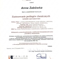 Powiększ obraz: certificate 22