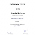 Powiększ obraz: certificate 15