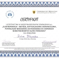 Powiększ obraz: certificate 56