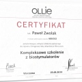 Powiększ obraz: certificate 13