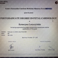 Powiększ obraz: certificate 4