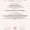 Powiększ obraz: certificate 9