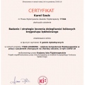 Powiększ obraz: certificate 3